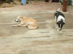 04_Milky_en Jane_20190325_003